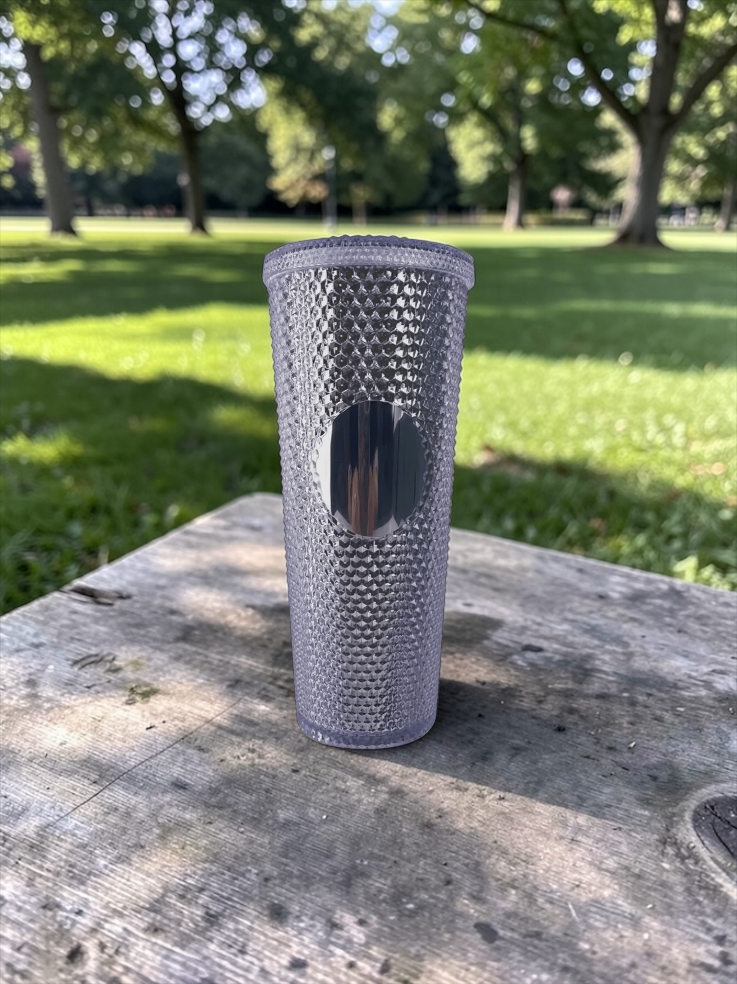 Silver  24oz Double Wall Studded Tumbler