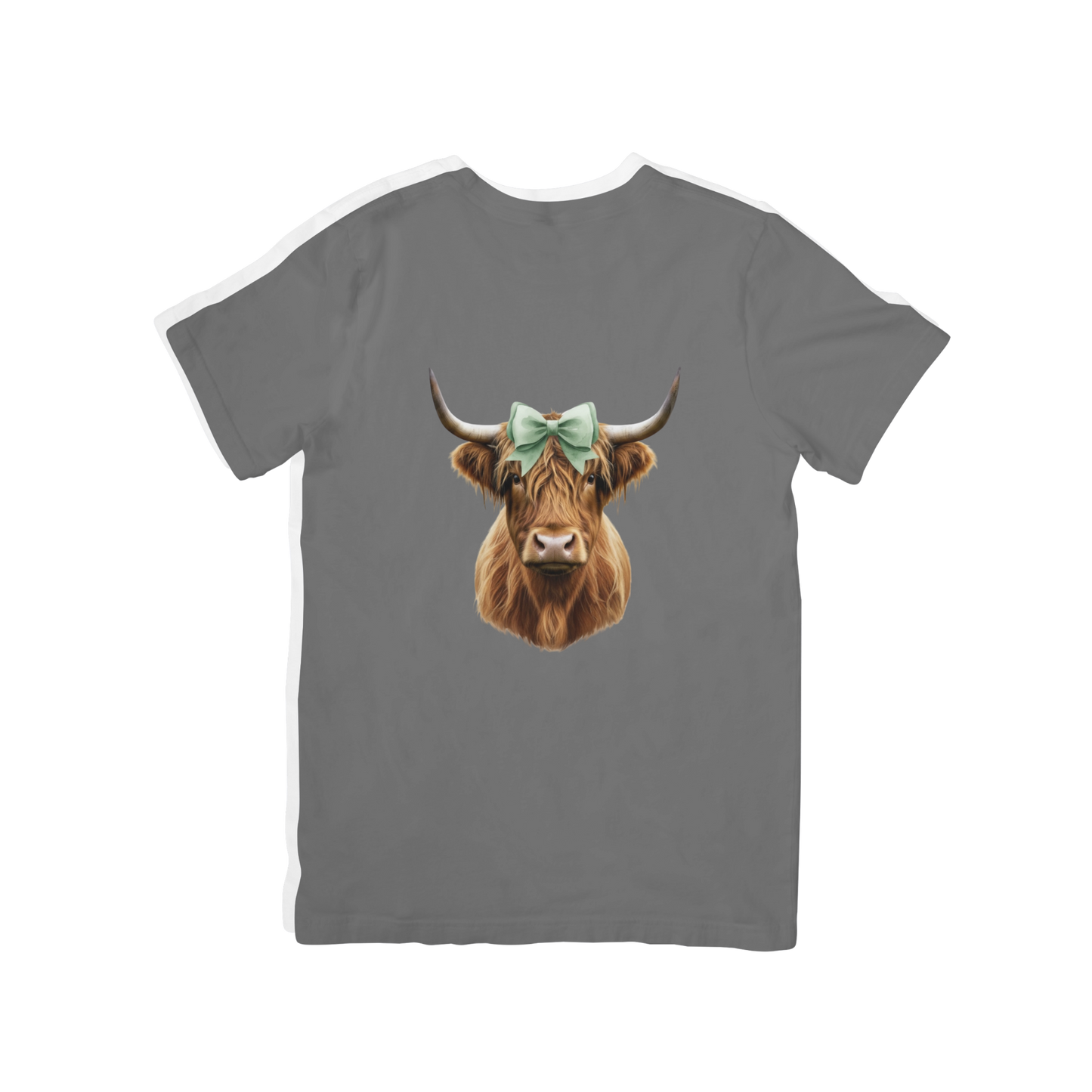 Highland Cow